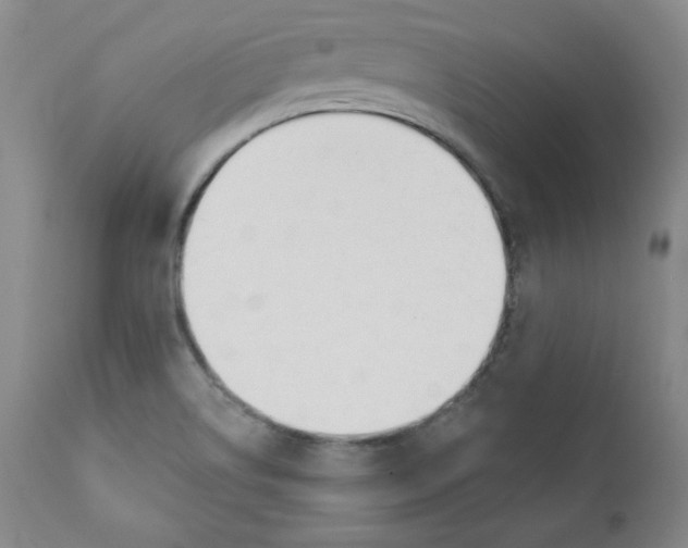 X0000110741514200907060955