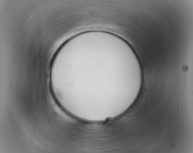 X0000110741515200907060955