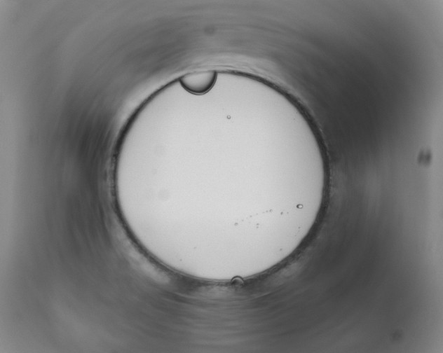 X0000110741517200907060955