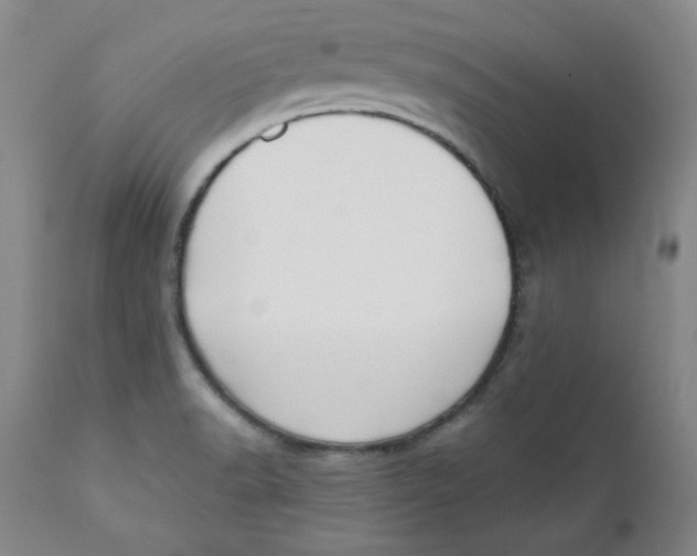 X0000110741518200907060955