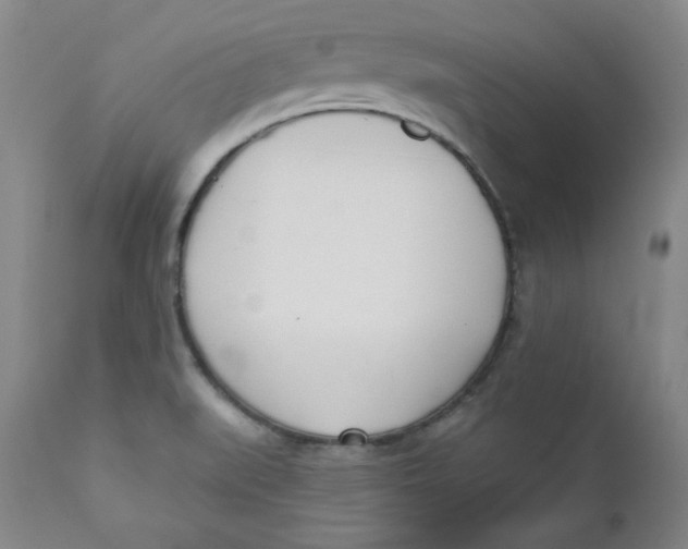 X0000110741519200907060955