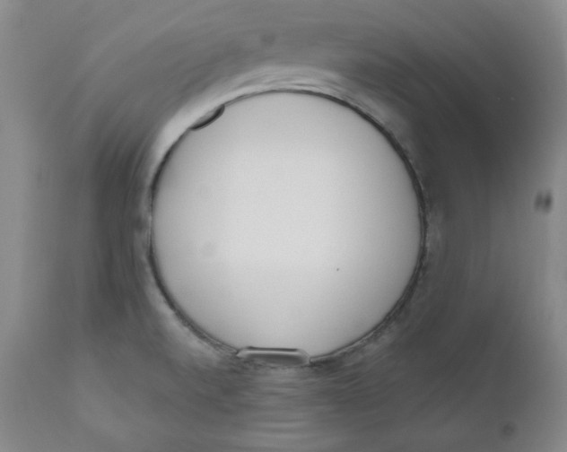 X0000110741520200907060955