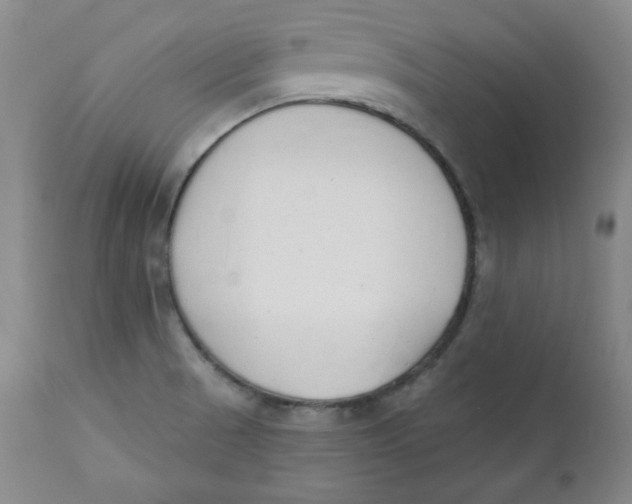 X0000110741521200907060955