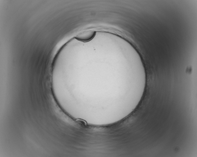 X0000110741522200907060955