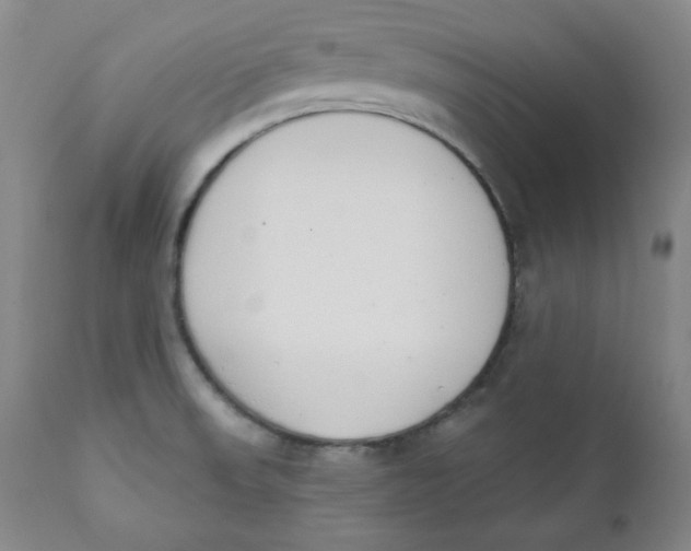 X0000110741523200907060955