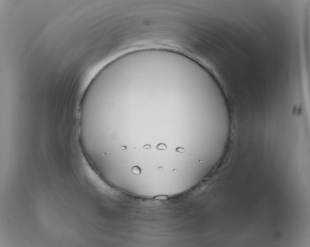 X0000110741524200907060955