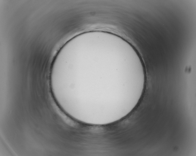 X0000110741525200907060955