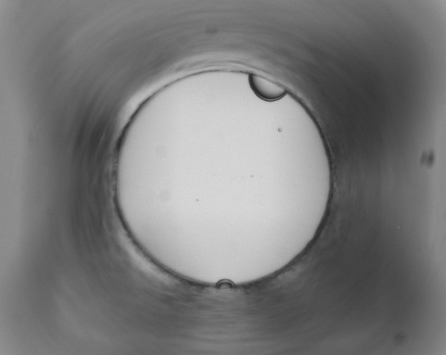 X0000110741526200907060955