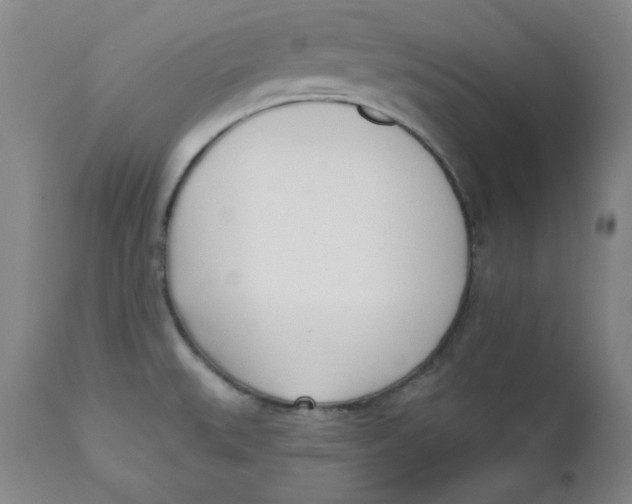 X0000110741527200907060955