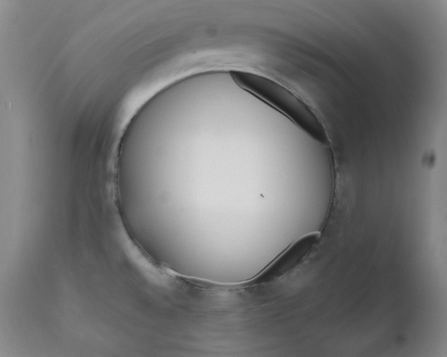 X0000110741528200907060955