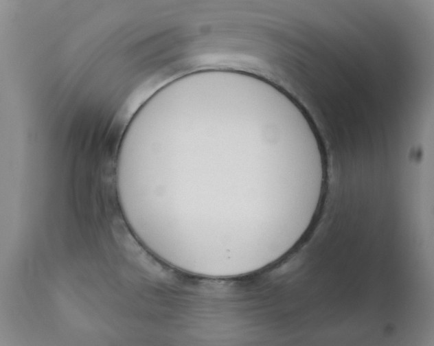 X0000110741529200907060955