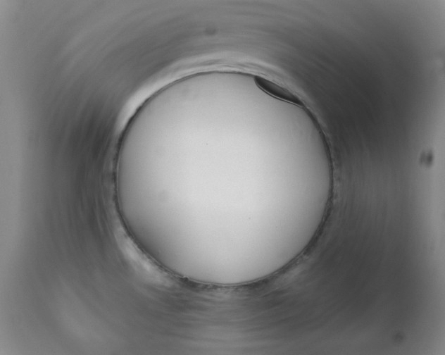 X0000110741530200907060955