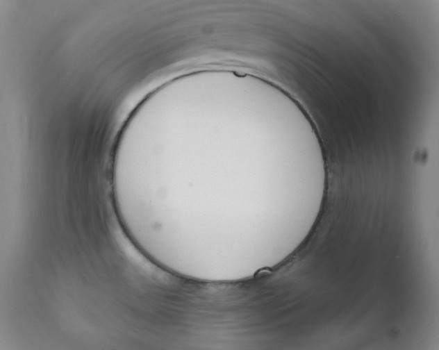 X0000110741531200907060955