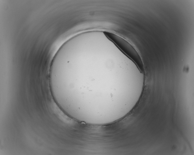 X0000110741532200907060955