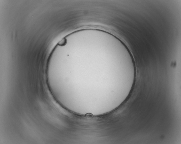 X0000110741533200907060955