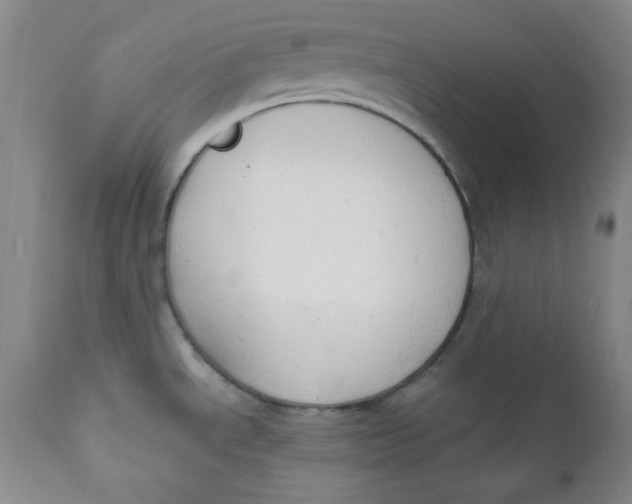 X0000110741534200907060955