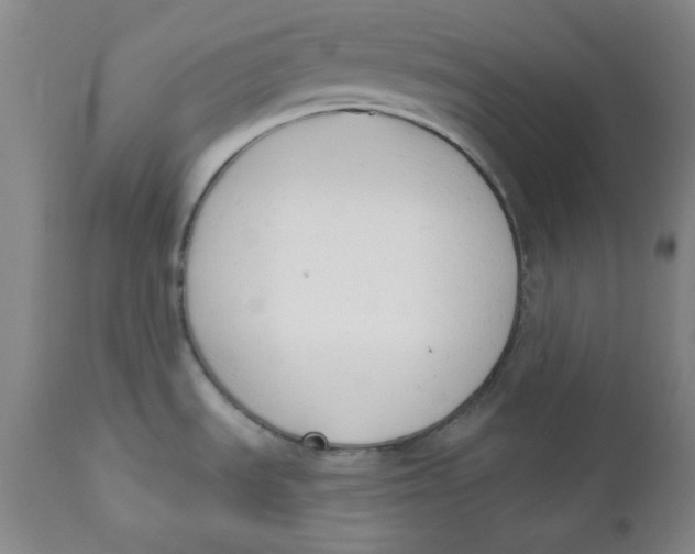 X0000110741535200907060955