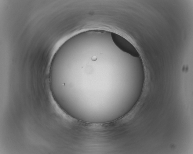 X0000110741536200907060955