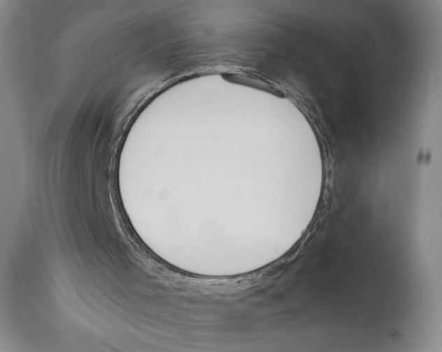 X0000110740001200907131131