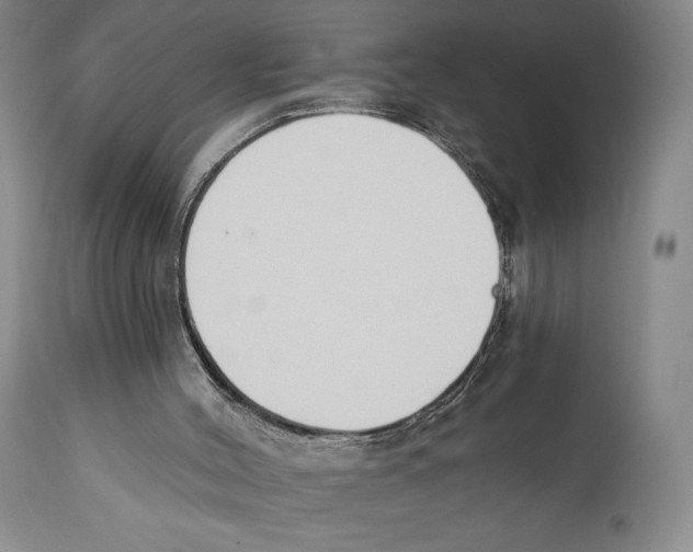 X0000110740004200907131131
