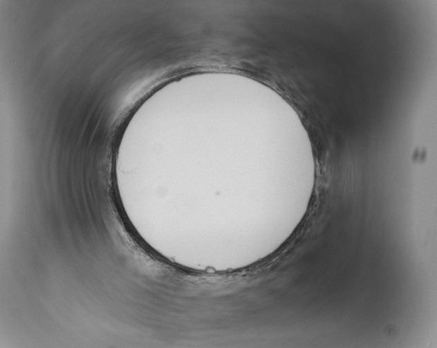 X0000110740005200907131131