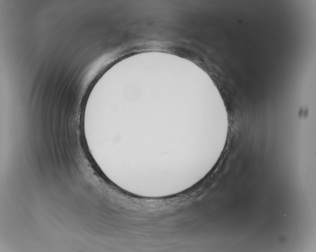 X0000110740006200907131131