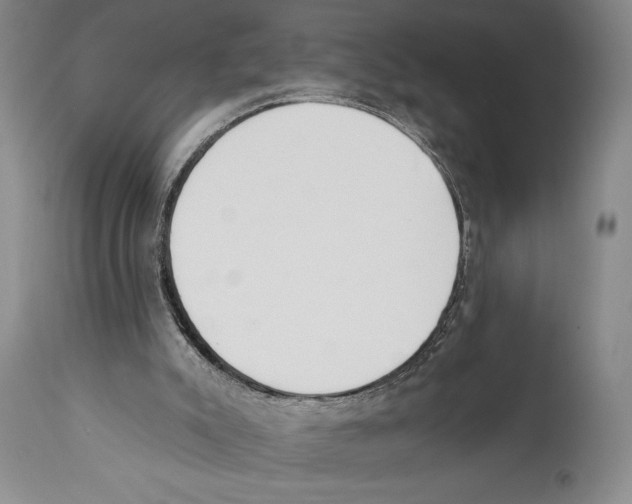 X0000110740007200907131131