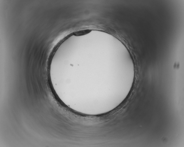 X0000110740008200907131131