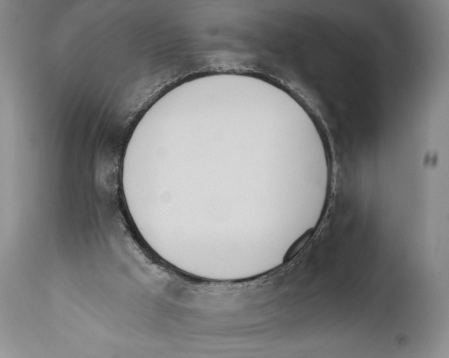 X0000110740009200907131131