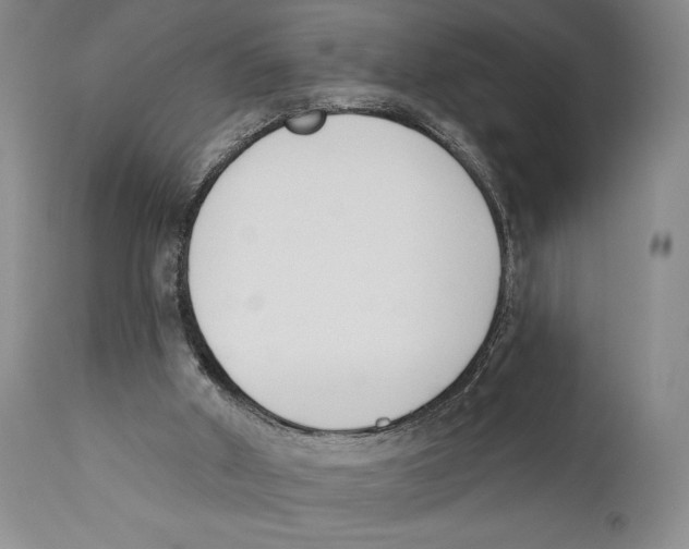 X0000110740010200907131131