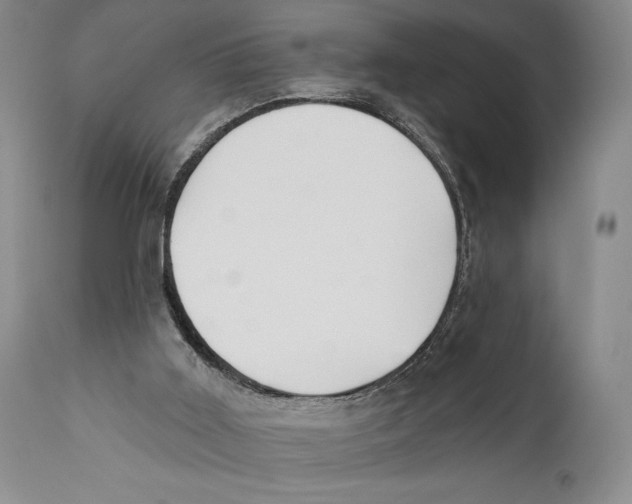 X0000110740011200907131131