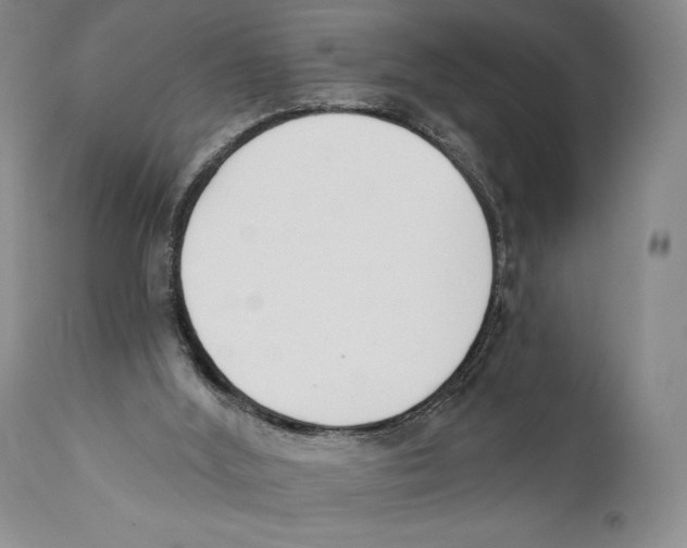 X0000110740012200907131131