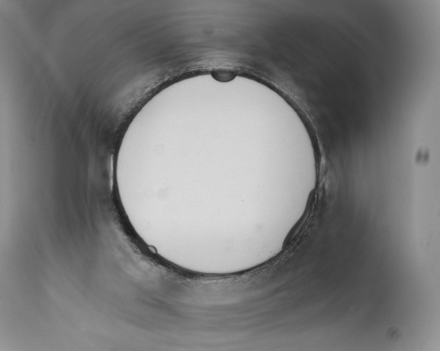 X0000110740013200907131131