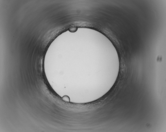 X0000110740014200907131131
