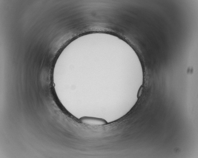 X0000110740015200907131131