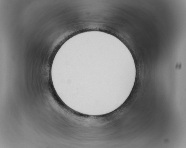 X0000110740016200907131131