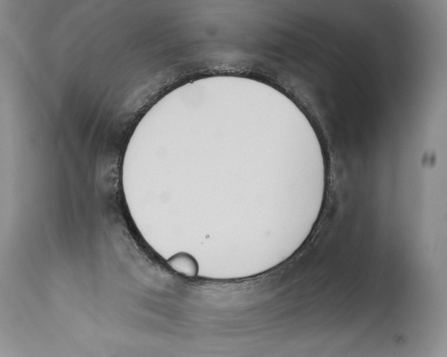 X0000110740017200907131131