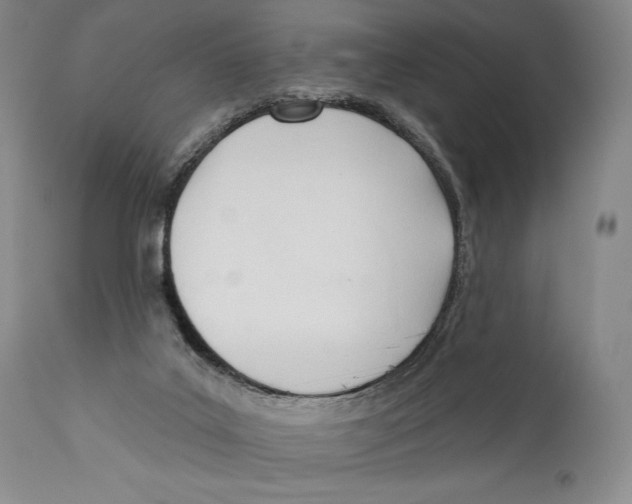 X0000110740019200907131131