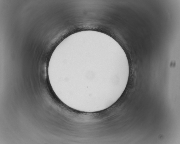 X0000110740020200907131131