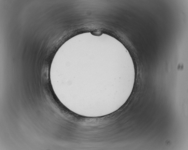 X0000110740021200907131131