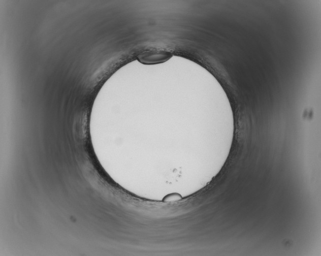 X0000110740023200907131131