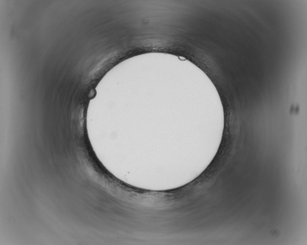 X0000110740024200907131131