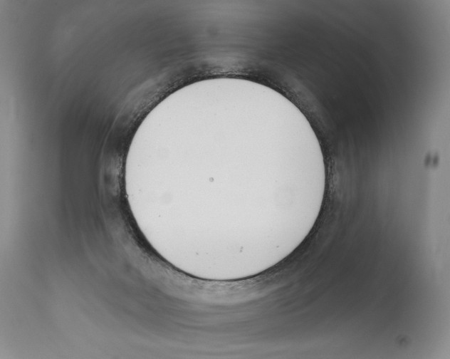 X0000110740026200907131131