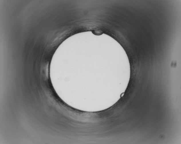 X0000110740028200907131131
