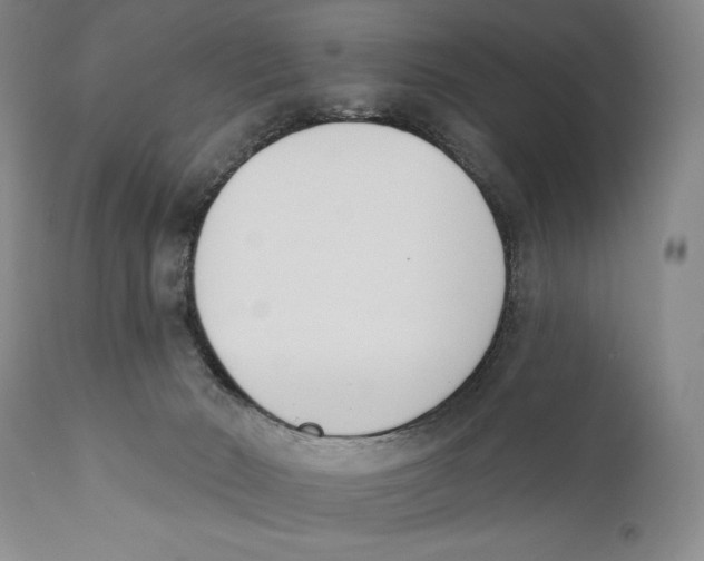 X0000110740030200907131131