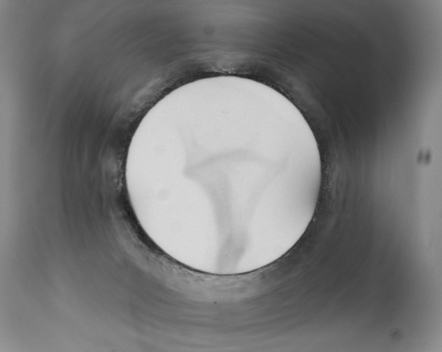 X0000110740031200907131131