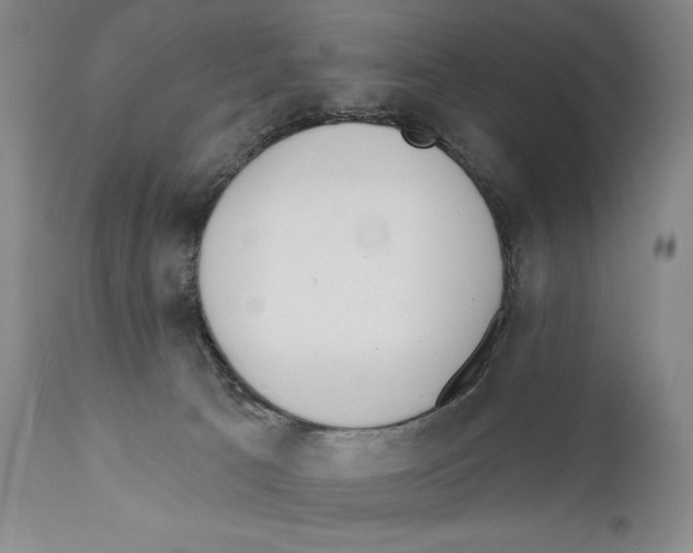 X0000110740033200907131131