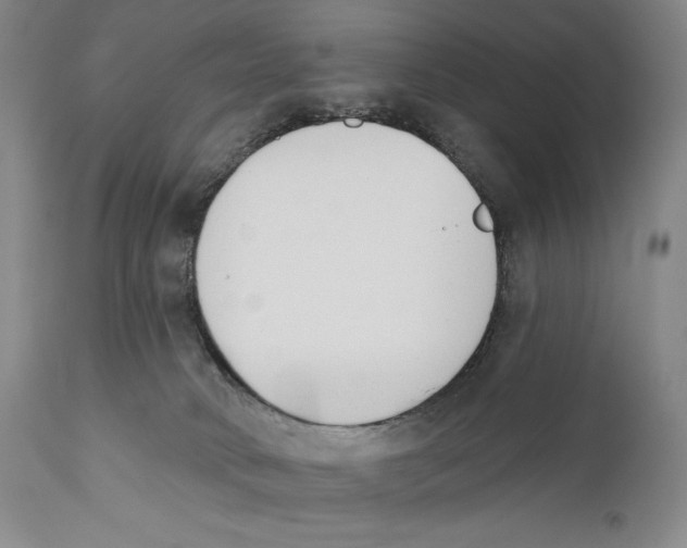 X0000110740034200907131131