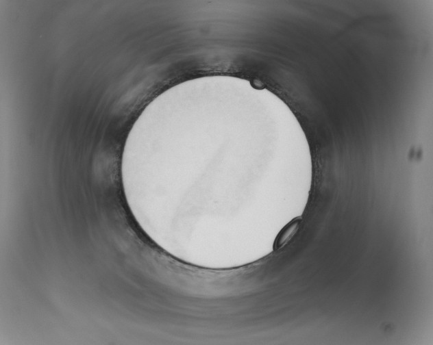 X0000110740035200907131131