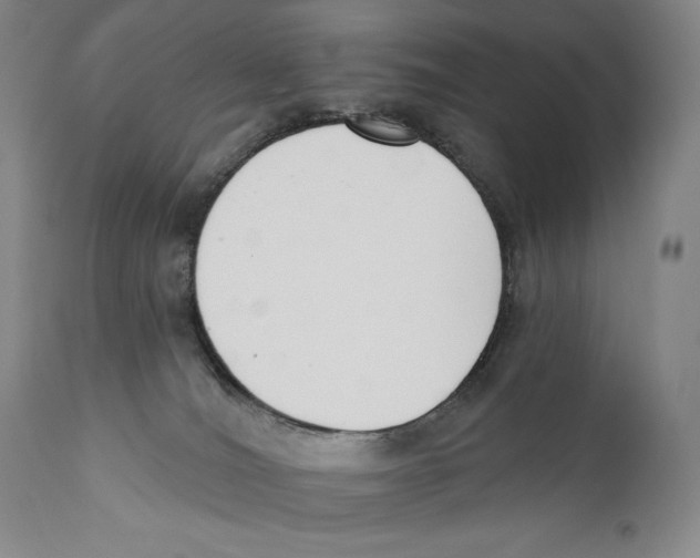 X0000110740036200907131131